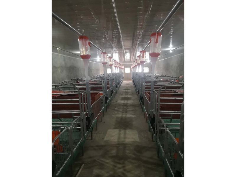 母豬產床廠家