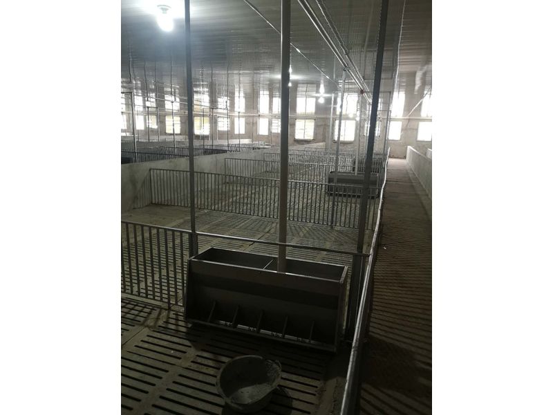 豬場自動供料系統 
